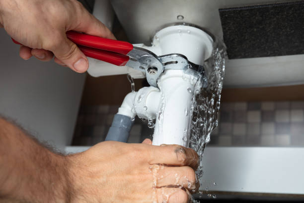 Best Water damage restoration insurance claims  in Elk Grove Vlage, IL