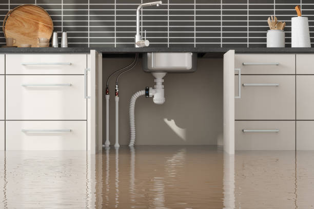 Best Water damage cleanup near me  in Elk Grove Vlage, IL