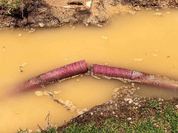  Elk Grove Vlage, IL Water damage restoration Pros