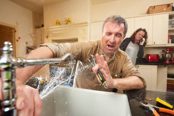 Best Basement water damage restoration  in Elk Grove Vlage, IL